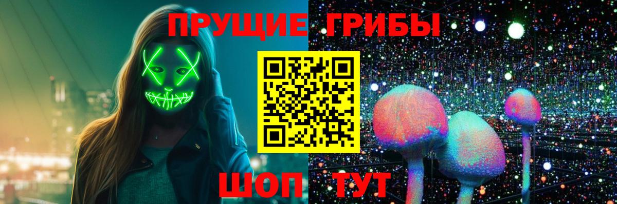 Псилоцибиновые грибы прущие грибы Кулебаки